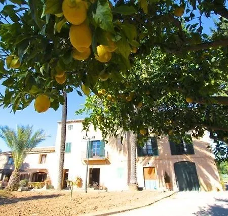 Finca Can Vich Semesterbostad *