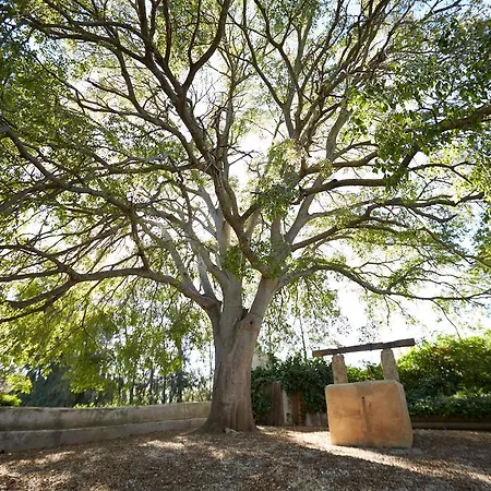 Finca Can Vich Semesterbostad Palma de Mallorca