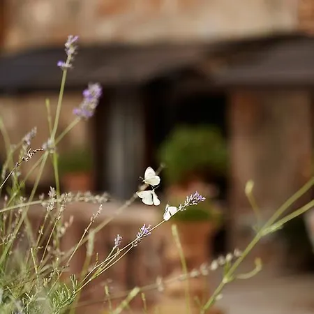 Semesterbostad Finca Can Vich Palma de Mallorca